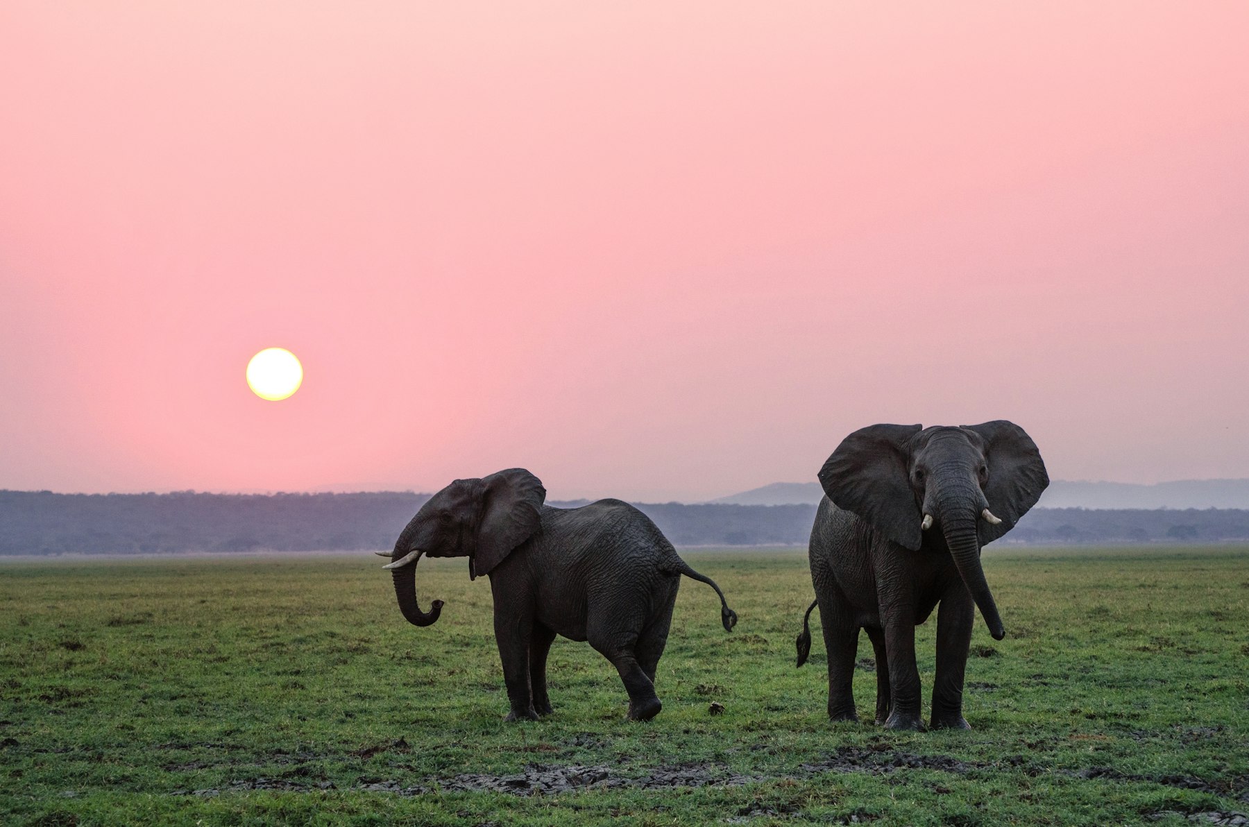 Akagera National Park