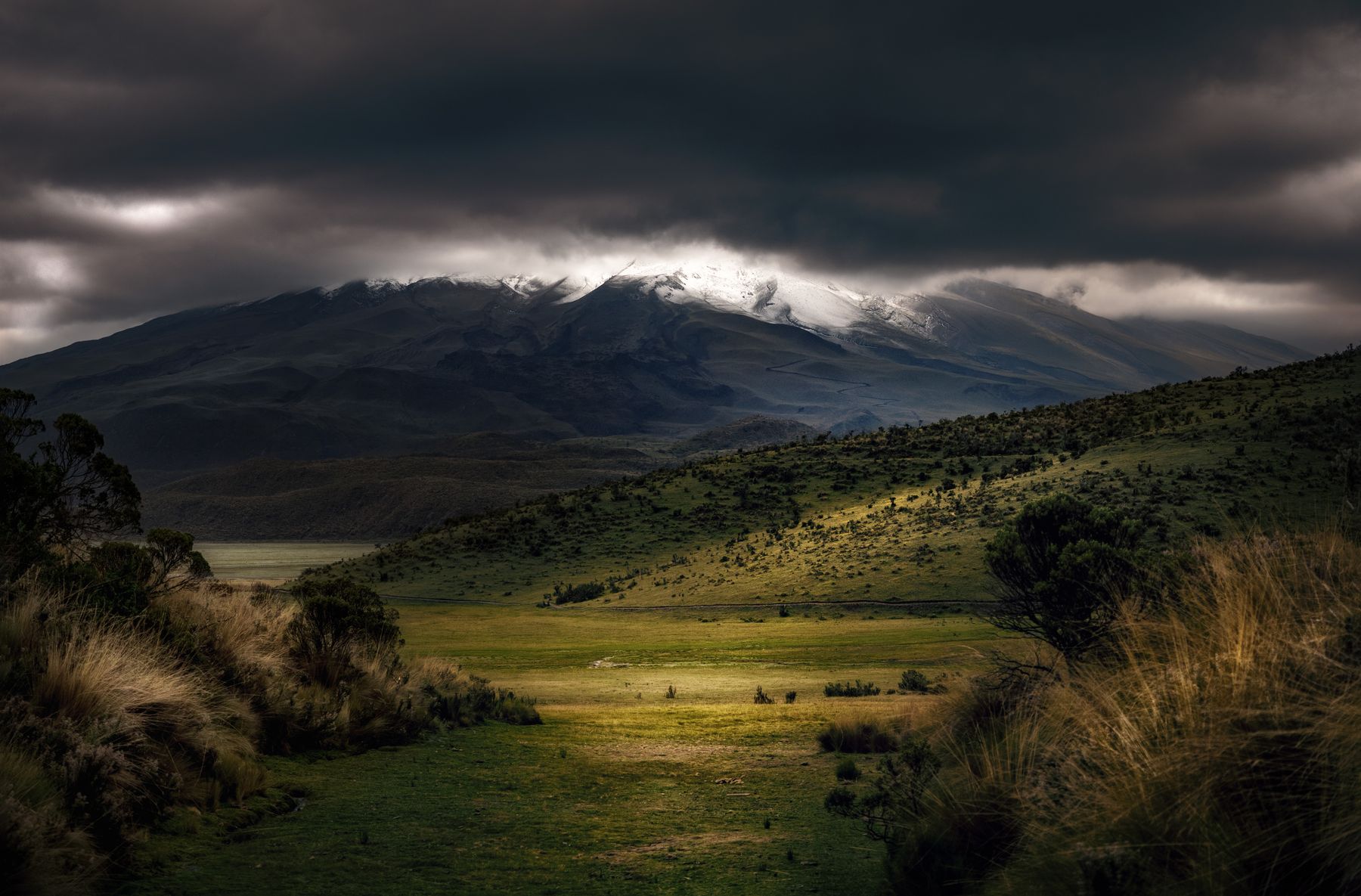 Rwanda Highland Gorilla Journey