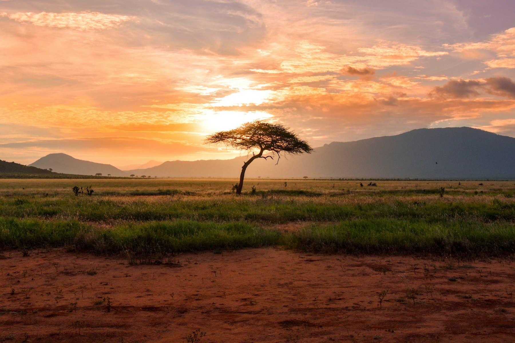 Uganda to Kenya