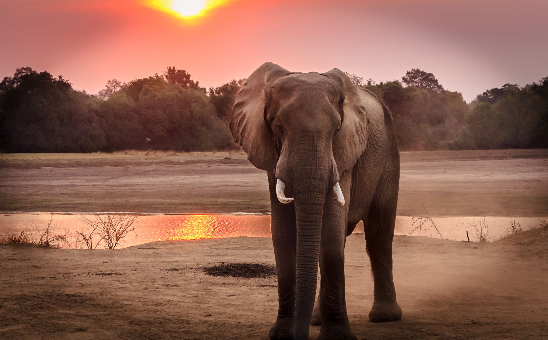 Kazinga at dusk