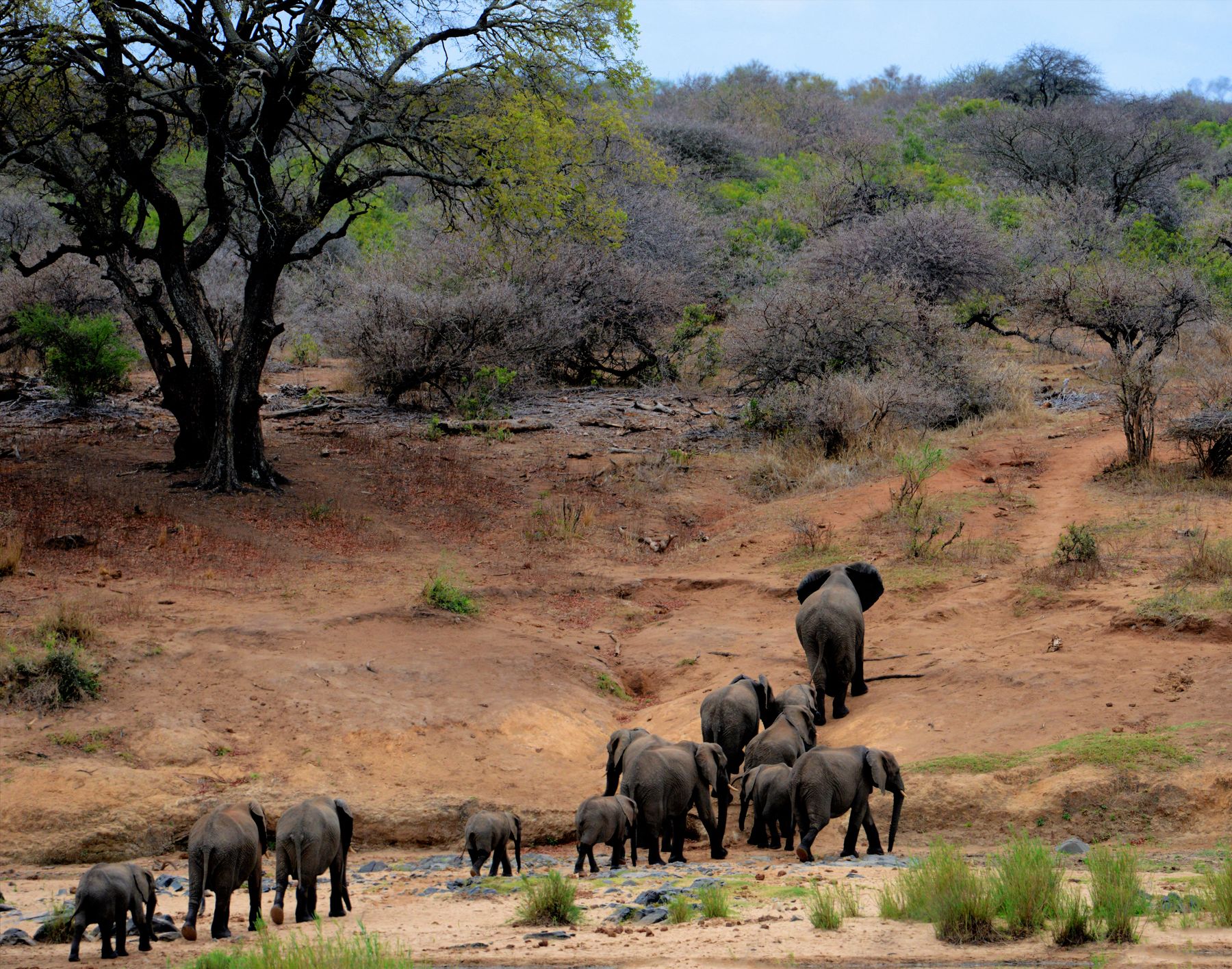 Queen Elizabeth National Park
