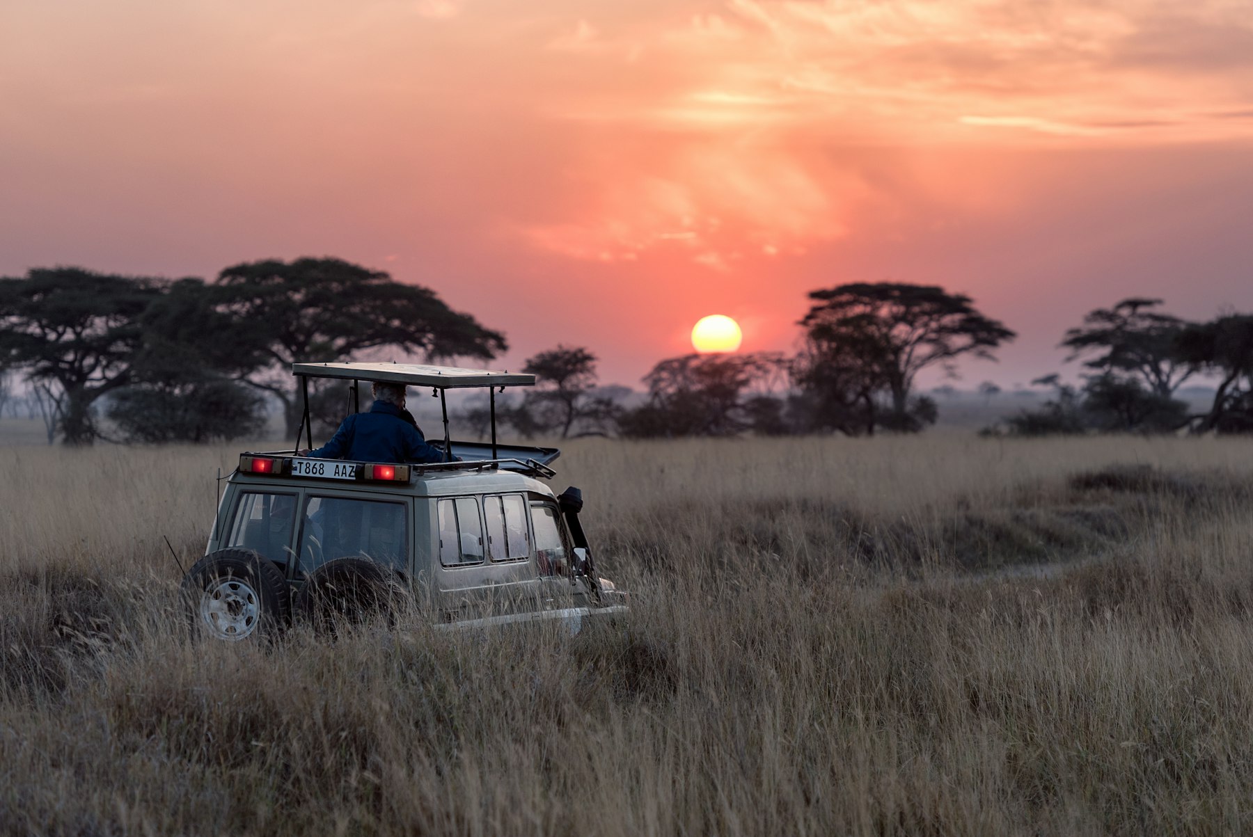 Mara Plains Camp